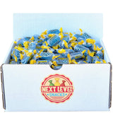 Jolly Rancher Blue Raspberry Bulk Box - 2lb's